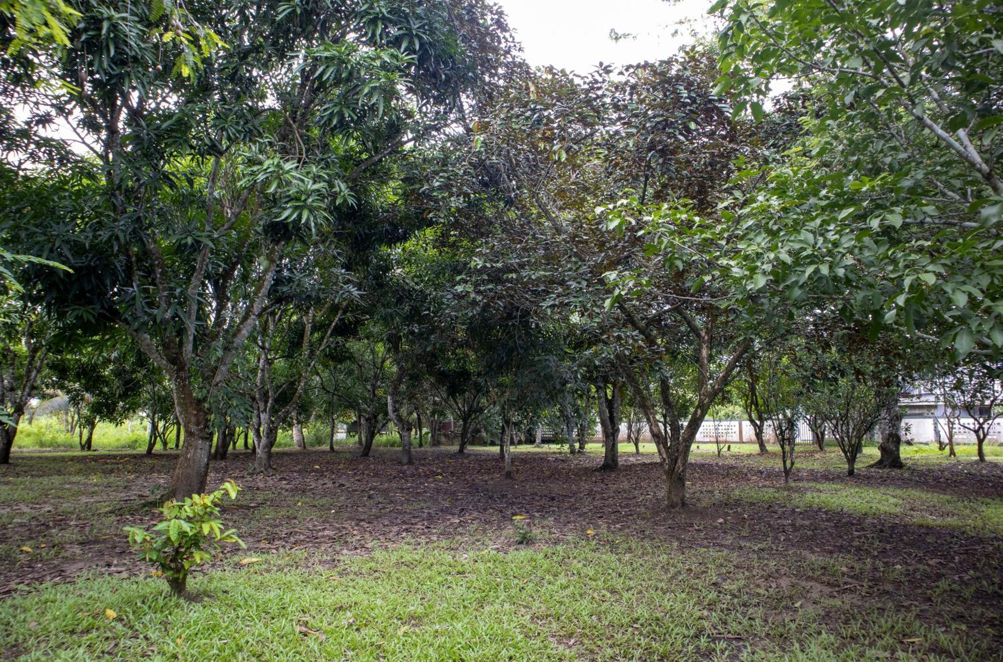 Sabajo Appartement Verhuur Paramaribo Buitenkant foto