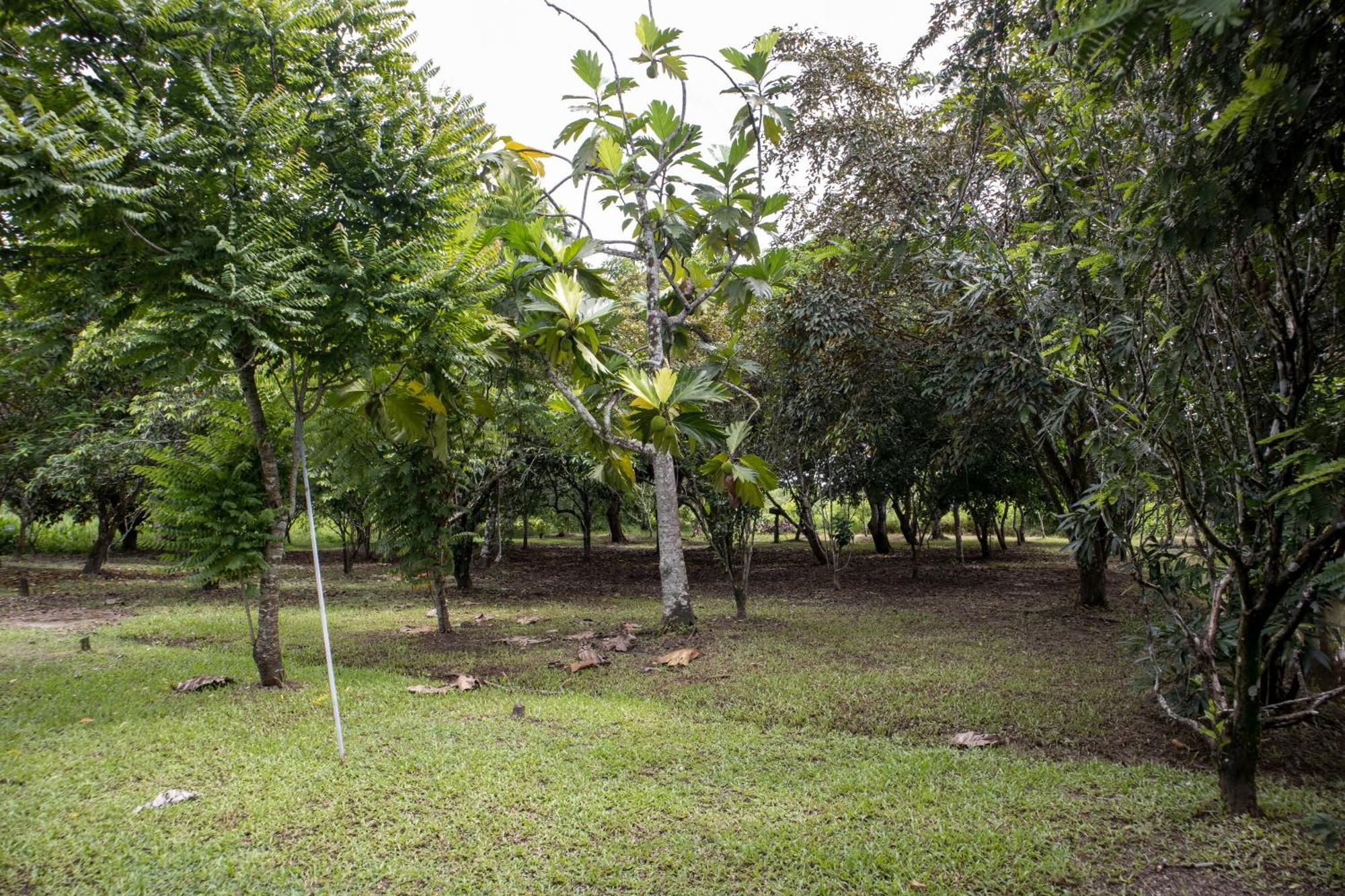 Sabajo Appartement Verhuur Paramaribo Buitenkant foto