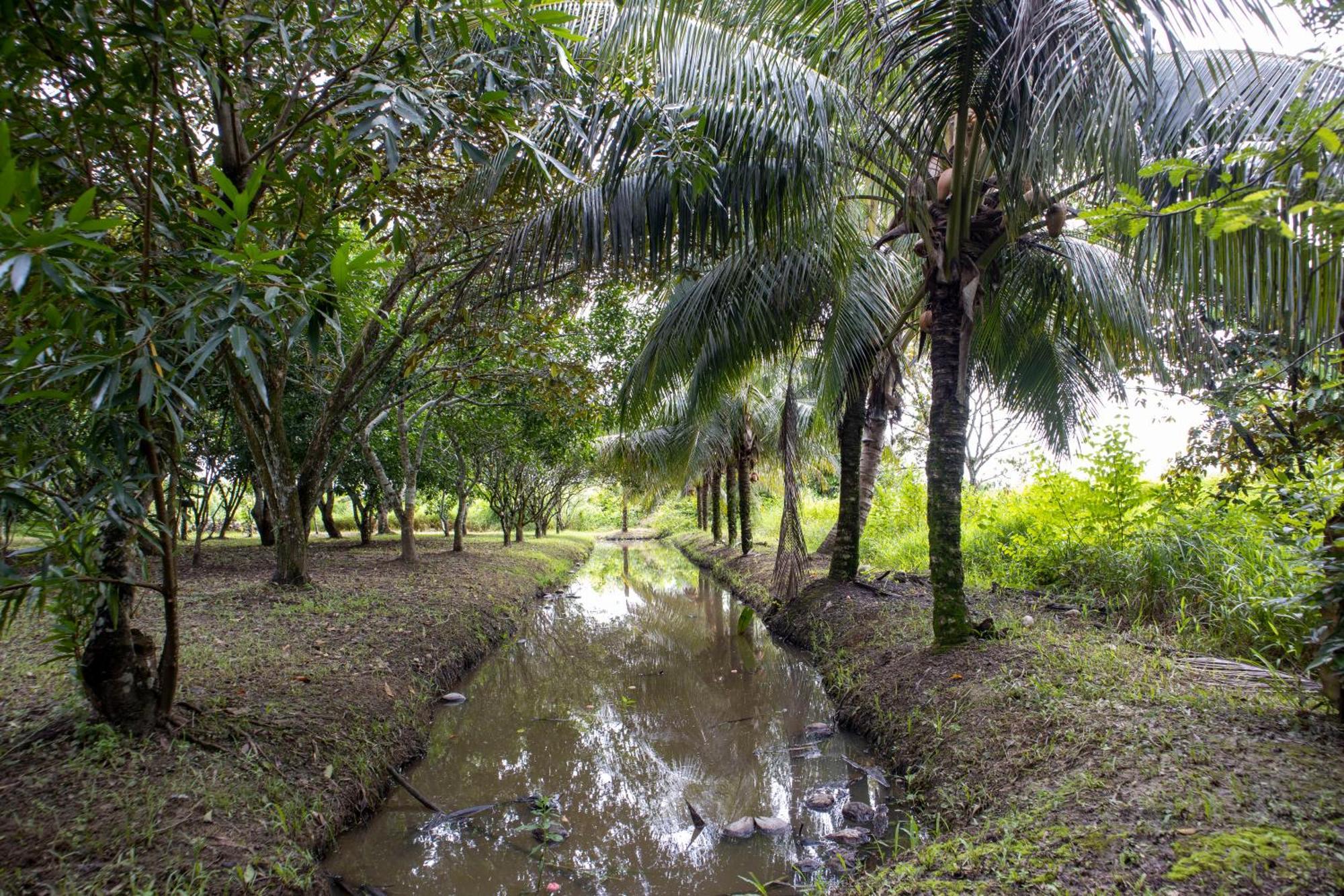 Sabajo Appartement Verhuur Paramaribo Buitenkant foto